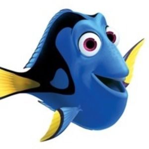 Meet your Posher, Bobbi